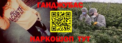 индика Заволжье