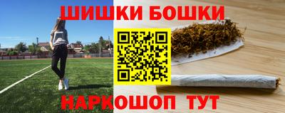 индика Заволжье