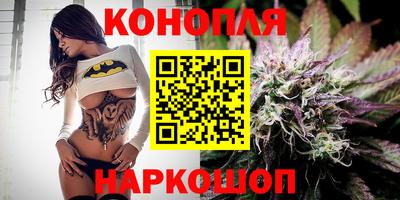 индика Заволжье